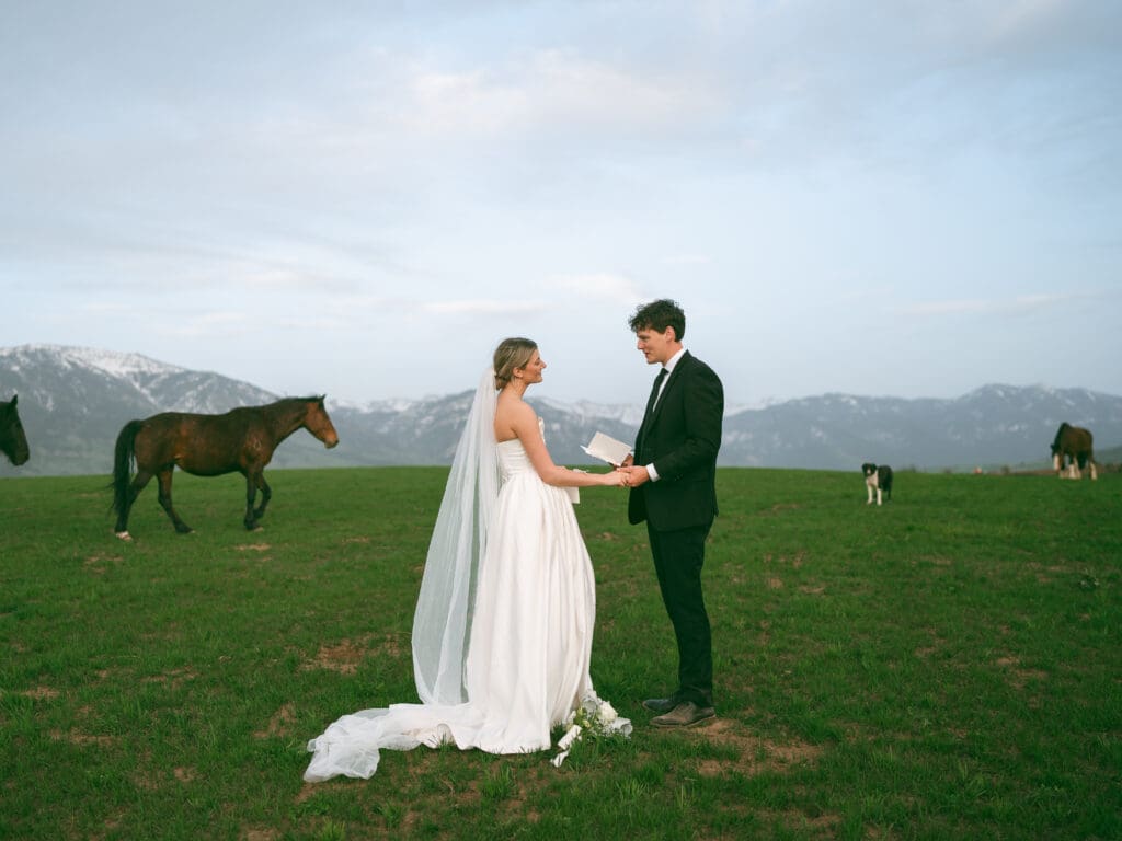 bride and groom saying vows at wedding ceremony with horses in background behind
